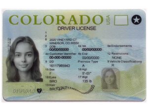 Colorado fake driver license