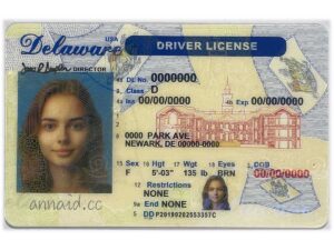 Delaware fake driver license