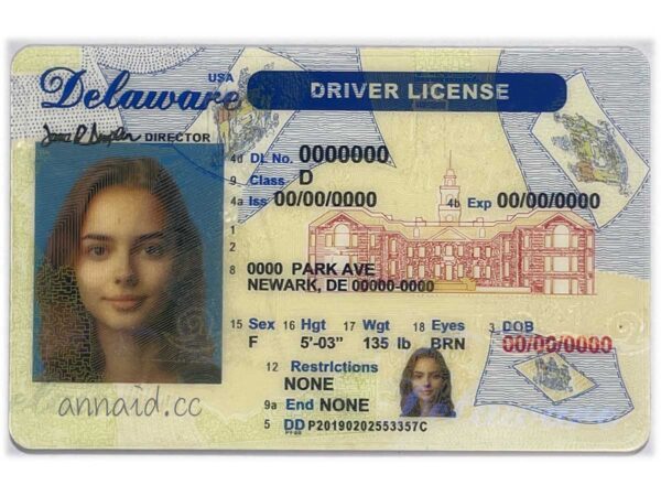 Delaware fake driver license