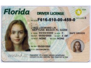 Florida fake driver license