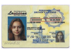 Louisiana fake driver license