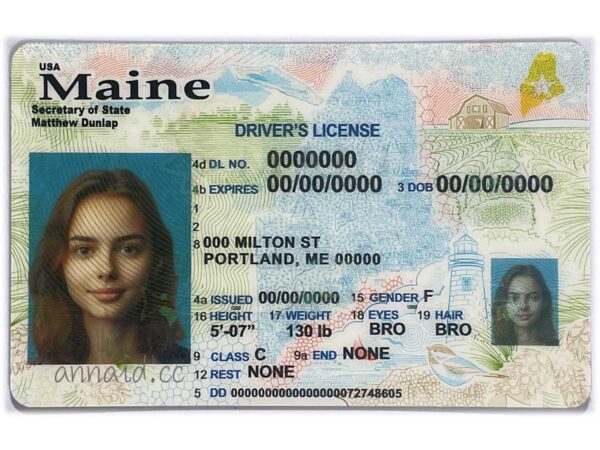 Maine fake driver license