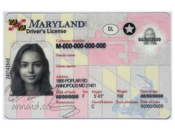 Maryland fake driver license