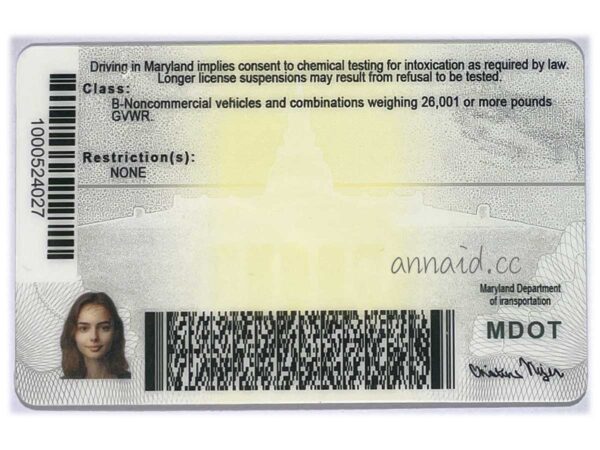 Maryland fake id