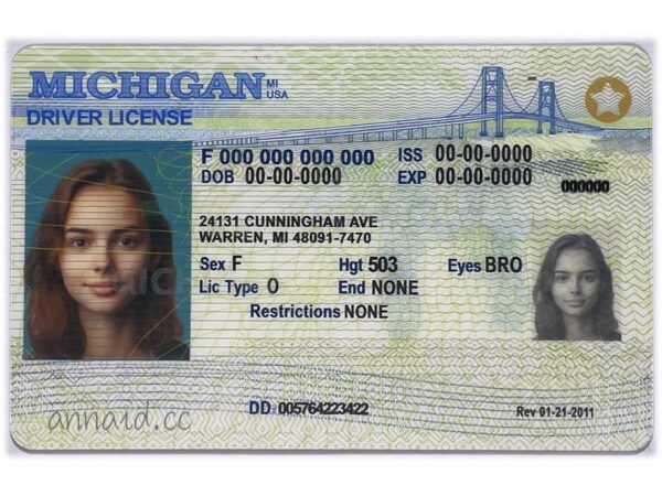 Michigan fake driver license