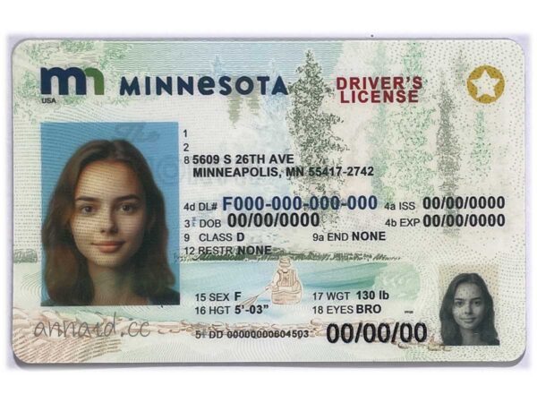 Minnesota fake driver license