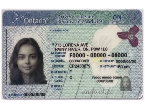 Ontario fake id