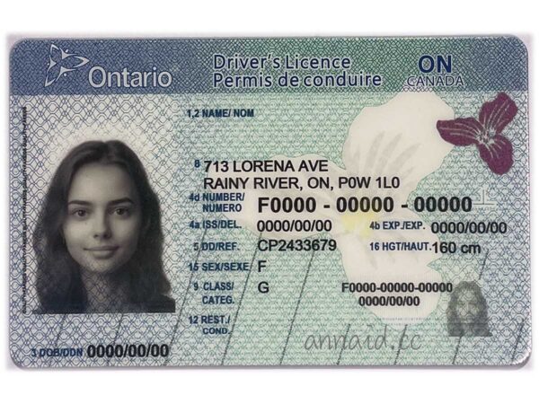 Ontario fake id