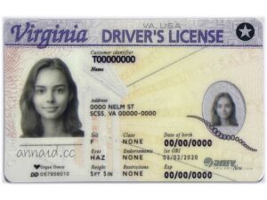 Virginia fake driver license