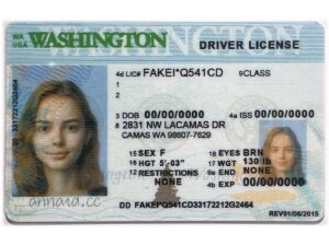 Washington fake driver license