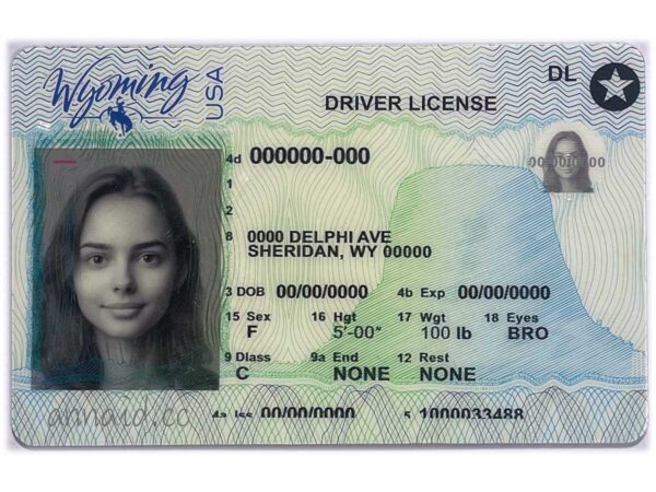 Wyoming fake driver license